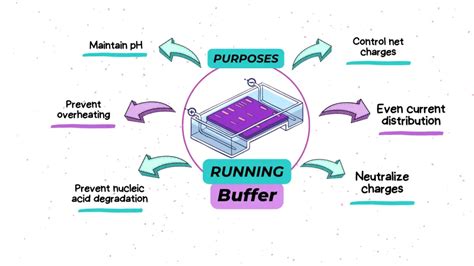 electrophoresis running buffer